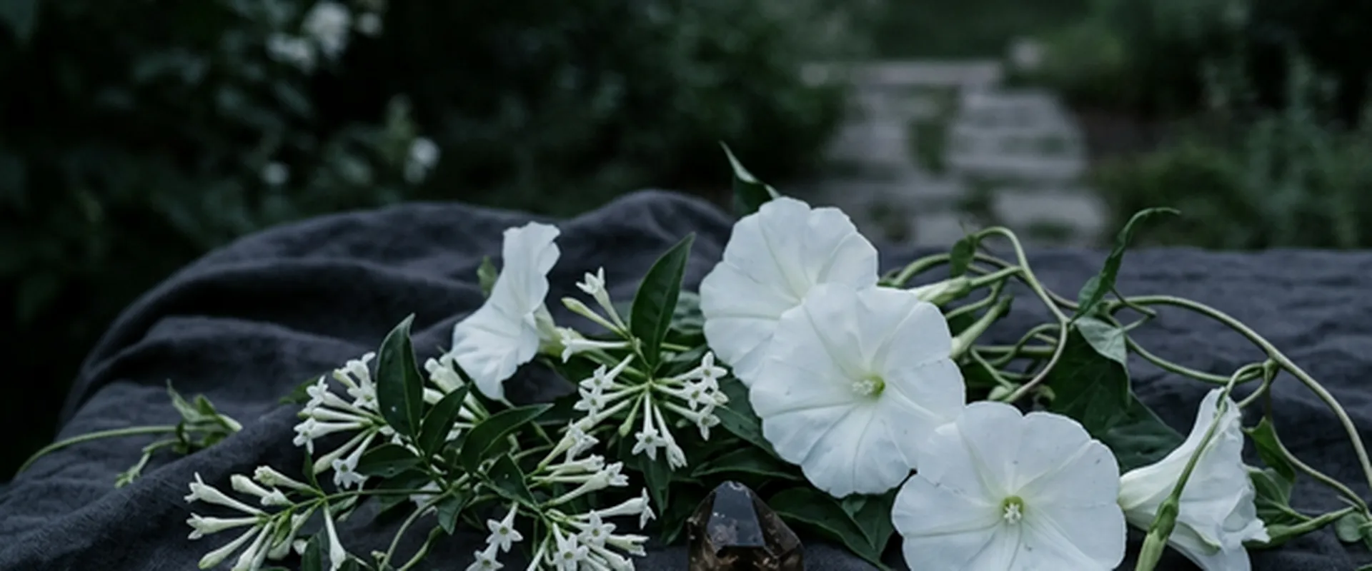 Sleep Disorders & Insomnia