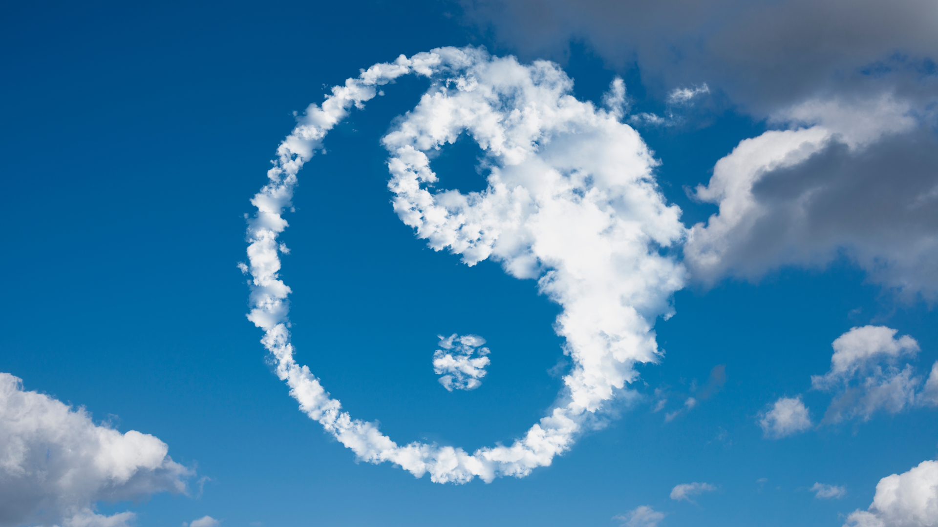 Our Team at Rozelle Acupuncture and Chinese medicine