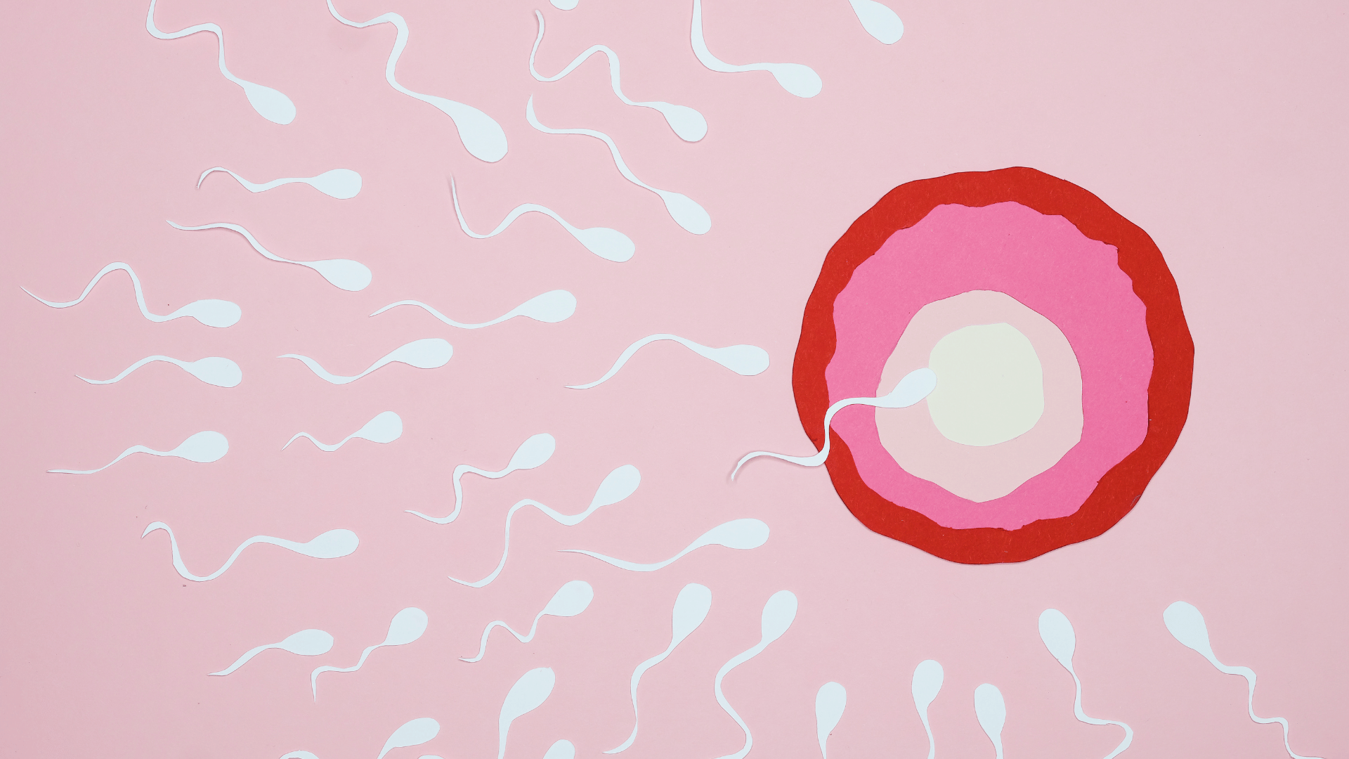 Fertility Acupuncture in Sydney